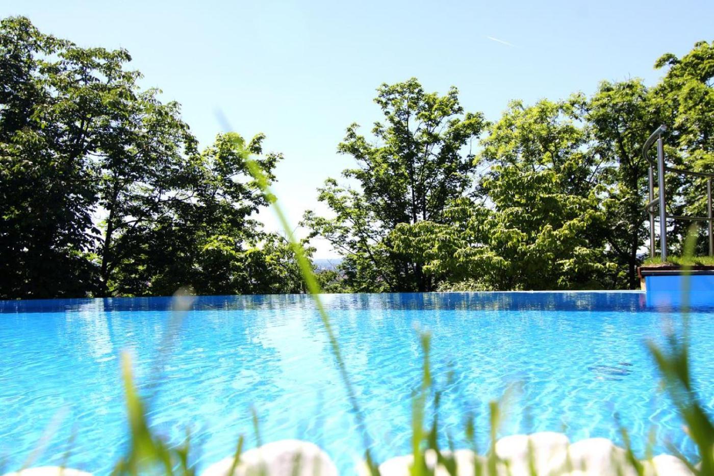 Villa Via Lapis - Panoramablick Ueber Dresden - Garten - Pool - Sauna - Luxus Dış mekan fotoğraf